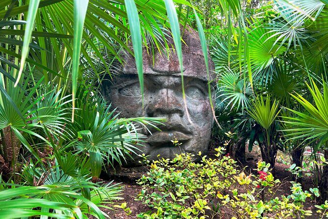 Chankanab Park Admission +Open bar +Lunch included +Snorkeling - Who should book this and who should skip it