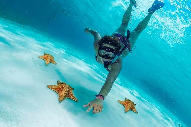 Cielito Cozumel: Mexican Caribbean Snorkeling Tour - Cielito Cozumel At a Glance: what your $95 buys