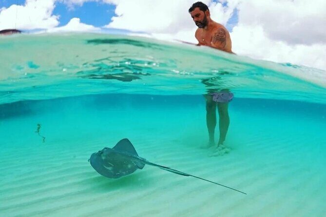 Cielito Cozumel: Mexican Caribbean Snorkeling Tour - Stop 1: Palancar Reef and why it’s often the best first hour