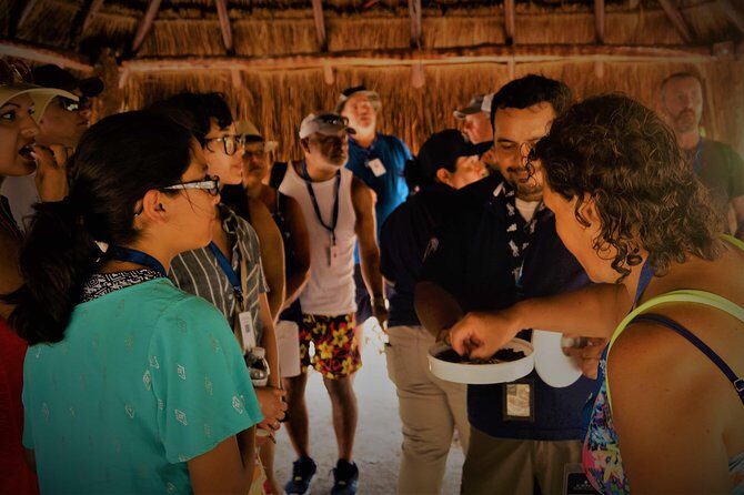 Coba and Tulum, cenote swim and buffet lunch - Group Size, Timing, and the Logistics That Can Make or Break Your Day
