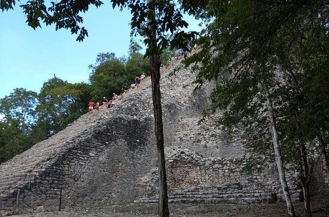 Coba Cenote and Maya Village Private Guided Tour - Stop 2: Cenote Multum Ha swim time in a cave-cenote setting