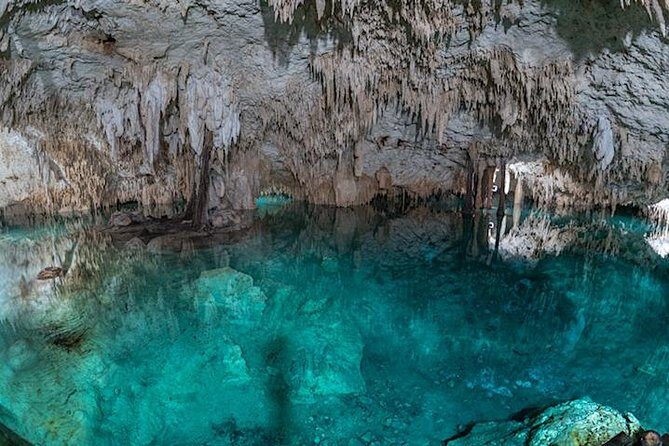Coba Private Tour – Ancient Ruins & Refreshing Cenote Swim - Getting There: Pickup From Playa del Carmen and Tulum (And the Drive Reality)