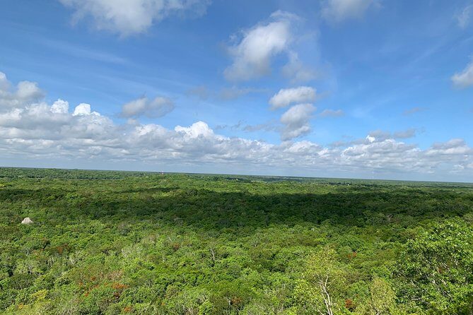 Coba Ruins and Punta Laguna Monkey Reserve Day Tour from Tulum - What’s included (and why it boosts value)