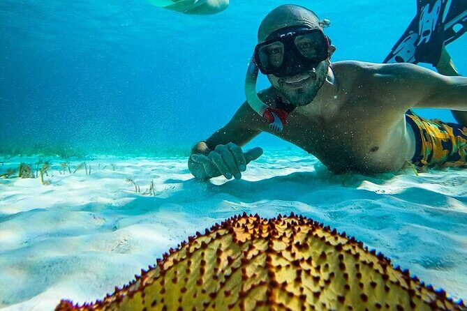 Colombia, Palancar & Cielo Cozumel Snorkel Tour - Stop-by-Stop: El Cielo, Palancar, Colombia Reef, and the Turtle Sanctuary