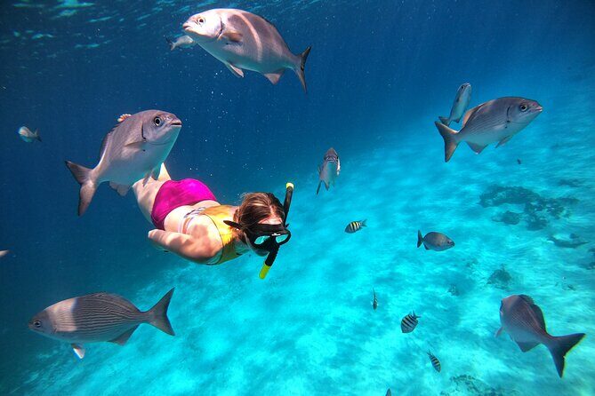 Colombia, Palancar & Cielo Cozumel Snorkel Tour - Snorkeling Gear, Rash-Vest Advice, and Staying Comfortable