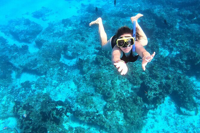 Colombia, Palancar & Cielo Cozumel Snorkel Tour - How the 4 Hours Actually Move: Pace, Stops, and Waiting