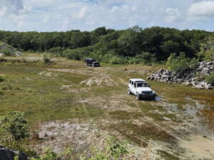 Cozumel: 5-Hour Private Caves and Ruins Tour with Lunch - Getting picked up around Cozumel without losing time
