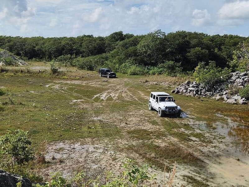 Cozumel: 5-Hour Private Caves and Ruins Tour with Lunch - Getting picked up around Cozumel without losing time