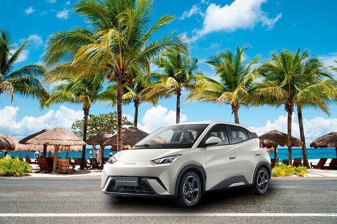 Cozumel Airport to Hotel Private Transfer by Car - Key things that matter before you land