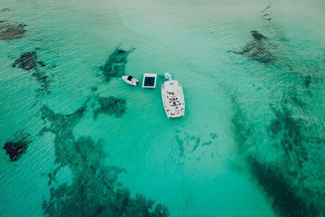 Cozumel All Inclusive: Coast & Relax 4h on 51' Leopard - Meet at Marina Cozumel: a simple arrival that sets the tone