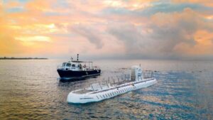 Cozumel: Atlantis Submarine Adventure - Safety briefing plus the 12-step ladder reality check