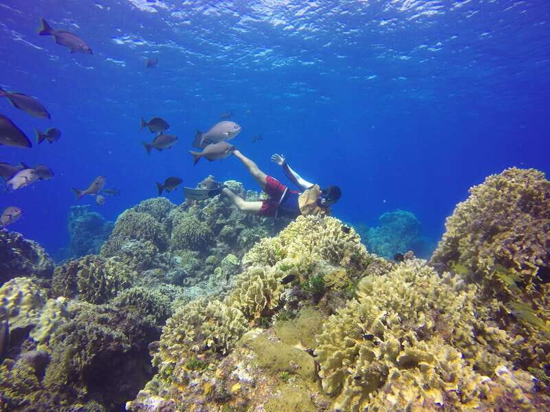 Cozumel: Catamaran, El Cielo Bay & Palancar Reef with Lunch - Price and Value: What You Pay, What You Should Add On