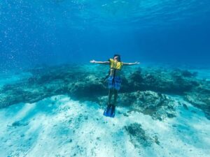 Cozumel Catamaran Snorkeling Tour & lunch - Meeting at Playa Mia: Where to Check In (and why timing matters)