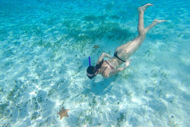 Cozumel Catamaran Snorkeling Tour & lunch® - Price and logistics: what’s included, what costs extra, and how to plan for it