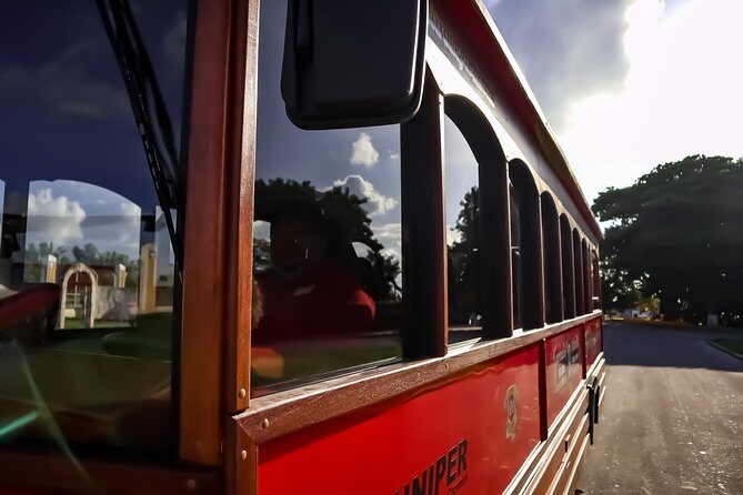 Cozumel City Tour By Trolley - Why a Cozumel trolley tour beats driving yourself