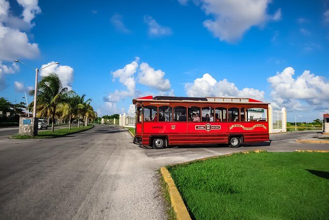 Cozumel City Tour By Trolley - Main Square shopping time: how to make the most of that hour