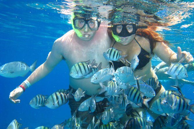 Cozumel Coral Reef Snorkeling by Glass Bottom Boat with Guide - Price And Value: $35 Plus The Marine And Pier Fee