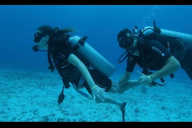 Cozumel: Discover Scuba Diving - The 5-hour flow: what the day feels like from start to finish