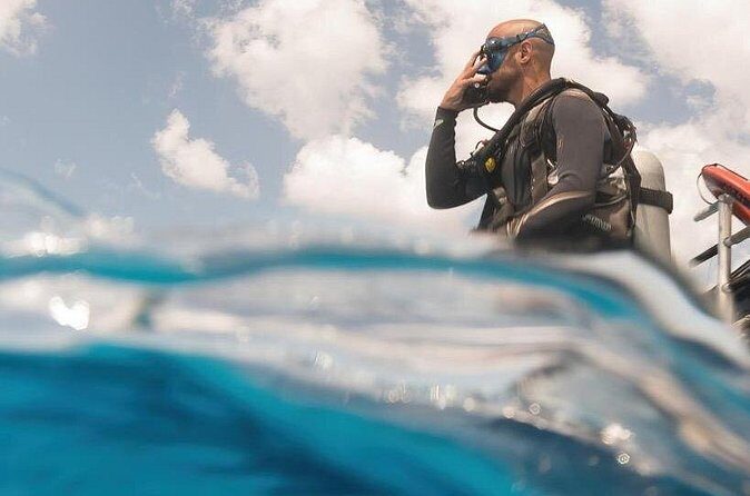 Cozumel: Discover Scuba Diving - Wildlife expectations: what you might see and how to not miss it