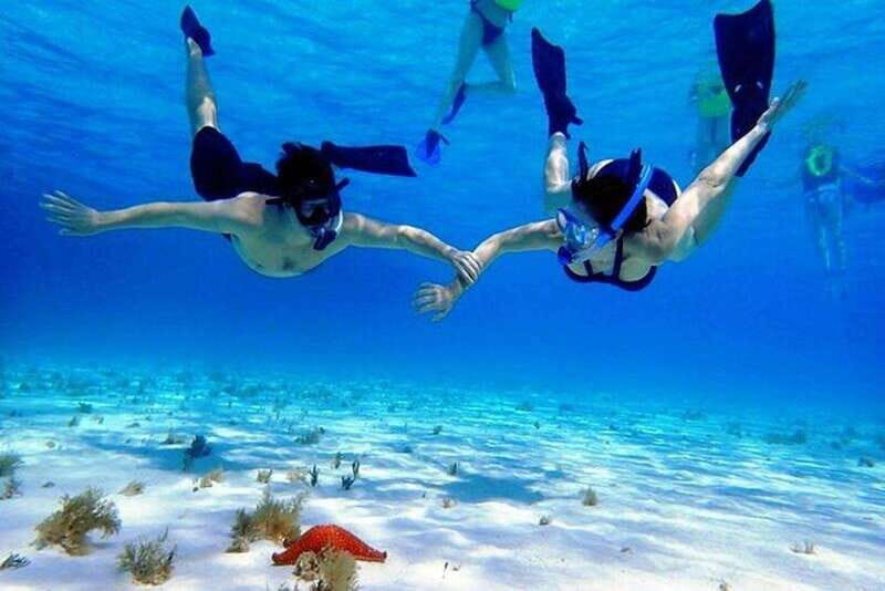 Cozumel El Cielo Sandbar and Reef Snorkeling Tour - Why Cozumel’s protected reefs matter for your snorkeling time