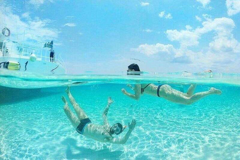 Cozumel El Cielo Sandbar and Reef Snorkeling Tour - Colombia Reef: the first snorkel stop for marine life sightings