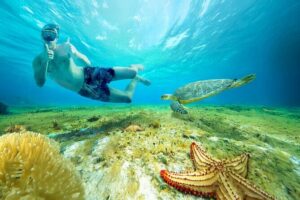 Cozumel: El Cielo Snorkel, KUZÁ Beach Day Pass, Buffet & Open Bar - The day flow at KUZÁ: how the stops fit together