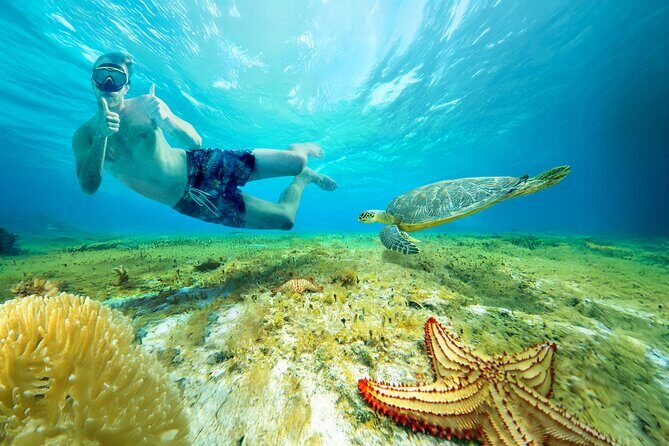 Cozumel: El Cielo Snorkel, KUZÁ Beach Day Pass, Buffet & Open Bar - The day flow at KUZÁ: how the stops fit together