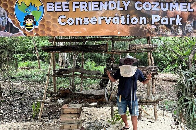 Cozumel: Hands-On Chocolate, Tortilla, Salsa & Honey Experience - Key highlights to look for