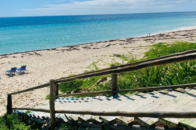 Cozumel Jeep Adventure Natural Cenote & Mayan Experience OTOCH - Tequila, honey, and chocolate tastings: fun learning with a buy-if-you-want vibe