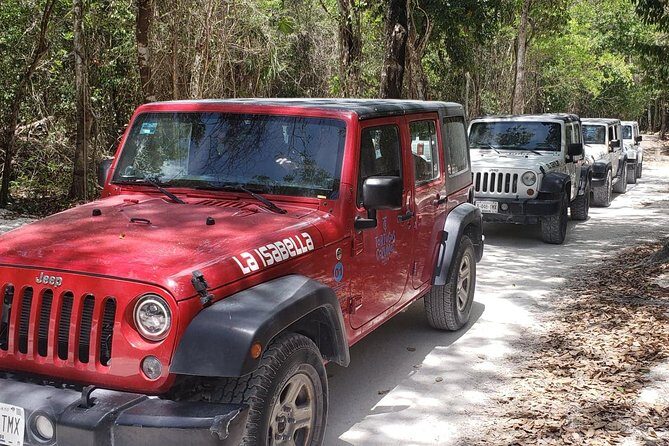 Cozumel Jeep Adventure to Jade Caverns with Lunch and Snorkel - Playa Chen Rio and the Lagoon With Ancho the Crocodile