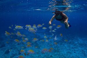Cozumel Luxury Sailing & Snorkeling with Lunch and Open Bar Onboard - Sailing Time: When the Crew Really Makes It Feel Luxurious
