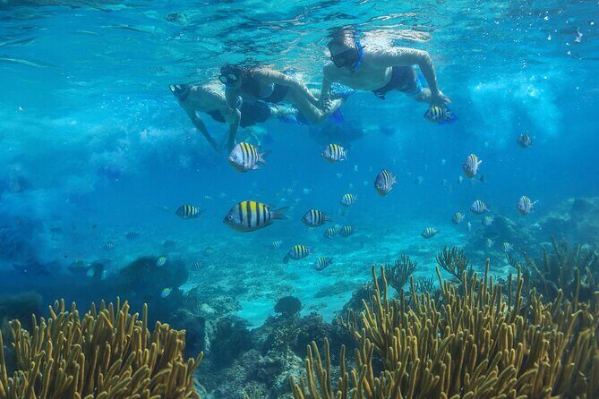 Cozumel Luxury Sailing & Snorkeling with Lunch and Open Bar Onboard - Comfort, Fitness, and Who This Tour Is Best For