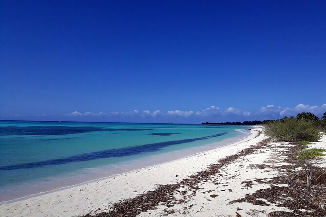 Cozumel National Park and Beach Break: Private Tour - Why This Private East-Side Loop Works for a Port Day