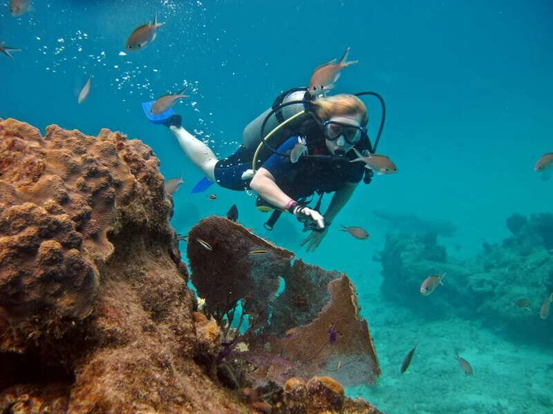 Cozumel: One Tank Scuba Dive and Full Chankanaab Park Access - Your Schedule: What Happens in Those Two Hours