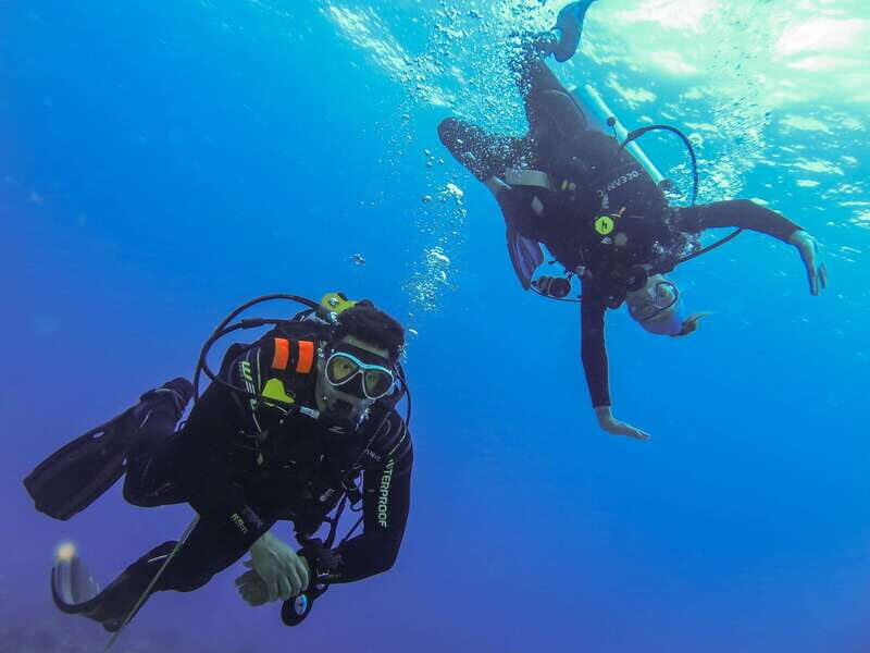 Cozumel: One Tank Scuba Dive and Full Chankanaab Park Access - Who This Is For (and Who Should Skip It)