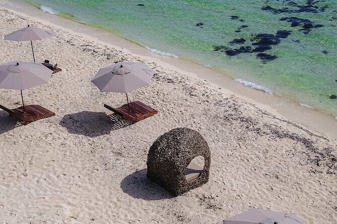 Cozumel Playa Palancar VIP All Inclusive Day Pass - Check-In at Playa Palancar: What the Starting Point Means for Your Day