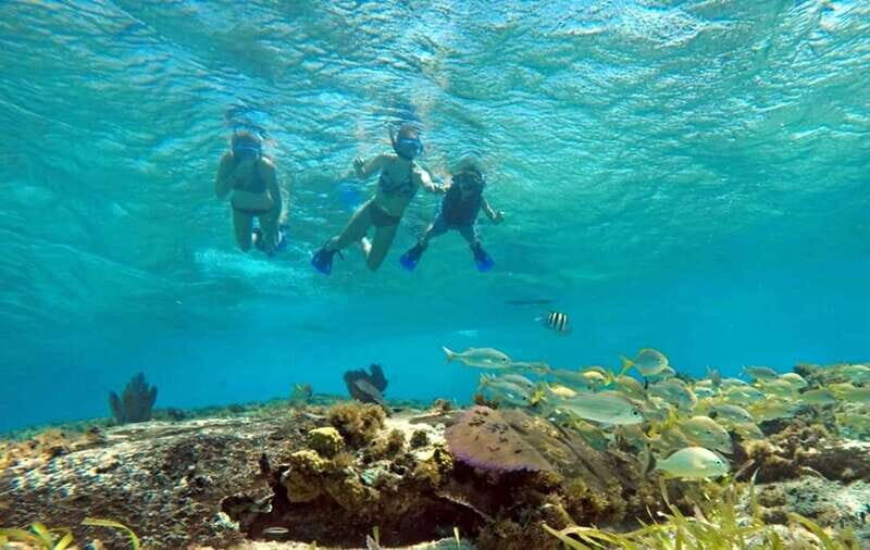 Cozumel: Private Charter Boat and Snorkel Day Trip - Key things to know before you book