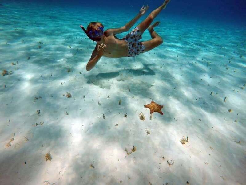 Cozumel: Private Charter Boat and Snorkel Day Trip - El Cielo Sandbar: knee-deep heaven, starfish, and ray energy