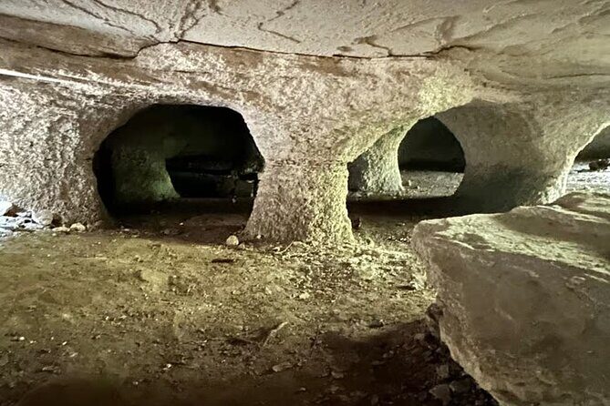 Cozumel Private Mayan caves & history Tour with cenote & Lunch - Rancho Buenavista Mayan Caves: Forest Walks, Off-Road Trails, and Cave Time