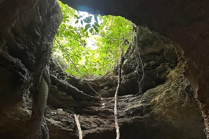 Cozumel Private Mayan caves & history Tour with cenote & Lunch - El Mirador Lunch: Included Food That’s Actually the Right Timing