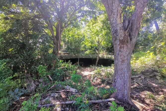 Cozumel Private Mayan caves & history Tour with cenote & Lunch - Cenote Aerolito de Paraiso: Cenote Lessons and the Swim Option