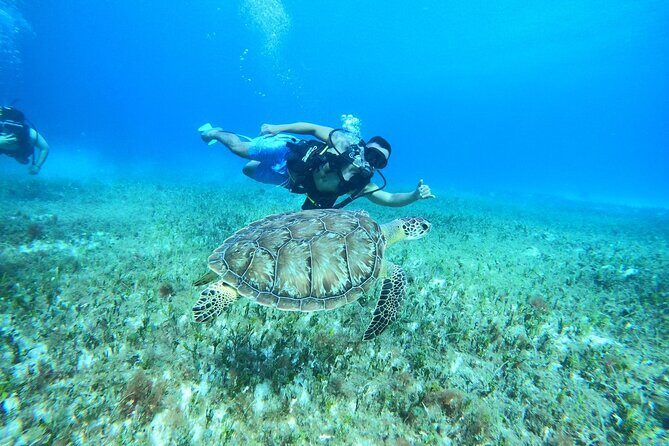 Cozumel Scuba Dive at Chankanaab - Stop 1: Chankanaab Adventure Beach Park Gear Up, Locker In, Then Off