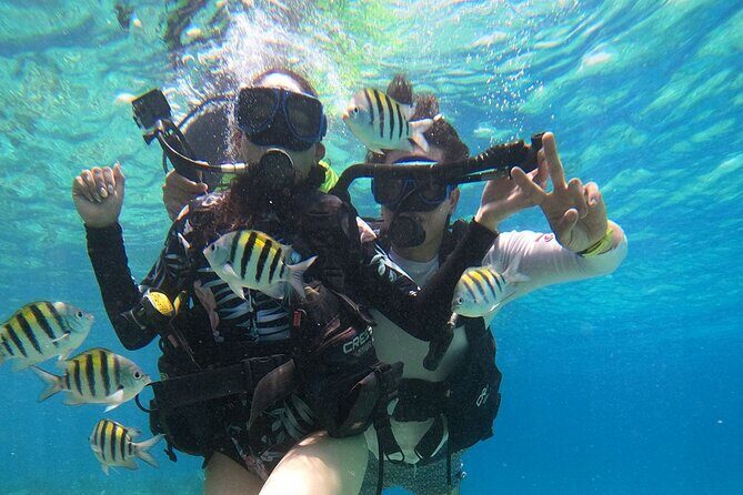 Cozumel Scuba Dive at Chankanaab - Guides and Safety: Why First-Timers Keep Feeling Comfortable