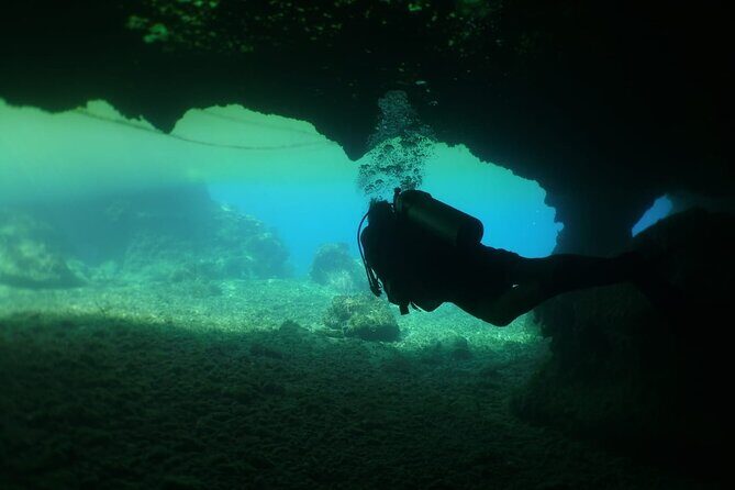 Cozumel Scuba Dive at Chankanaab - Underwater Photos, Optional Extras, and the After-Dive Drink