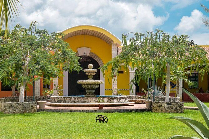 Cozumel Shore Excursion: 5-Hour Sightseeing Tour with Private Driver - Kaokao chocolate factory: what the Maya taught the world