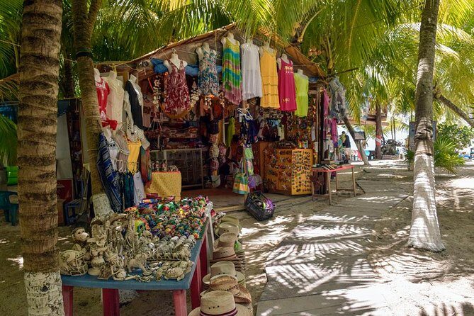 Cozumel Shore Excursion: 5-Hour Sightseeing Tour with Private Driver - Mi Mexico Lindo tequila tour: agave culture plus kid-friendly honey drinks