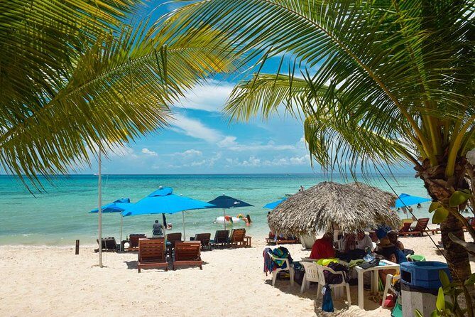 Cozumel Shore Excursion: 5-Hour Sightseeing Tour with Private Driver - San Gervasio Mayan ruins: when optional guides make a big difference