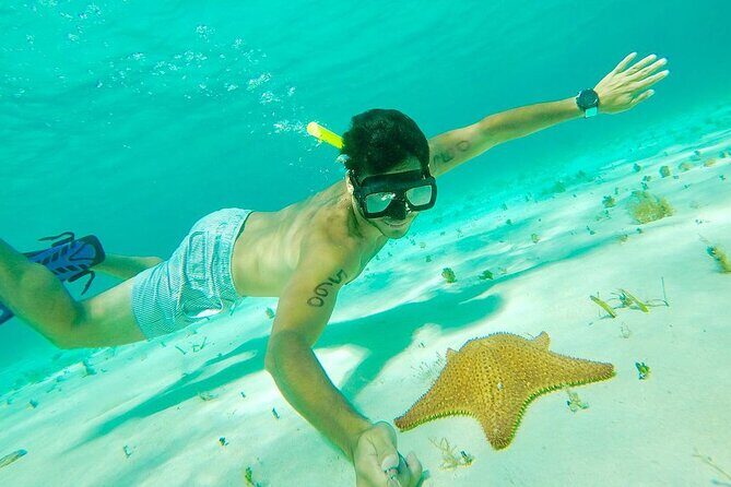 Cozumel Snorkel at El Cielo & 2 Reefs! Transportation from Tulum - Price and what you’re really paying for