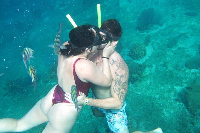 Cozumel Snorkel at El Cielo & 2 Reefs! Transportation from Tulum - Should you book the Cozumel snorkel tour from Tulum?