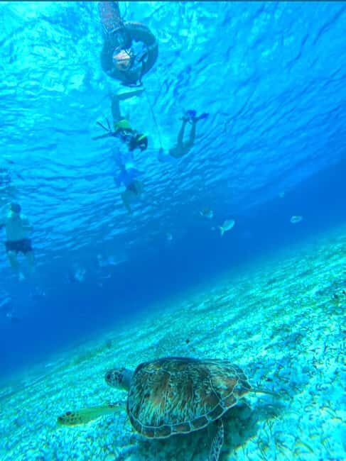 Cozumel: snorkeling on reefs + visit to "El Cielo" - Key things to know before you go